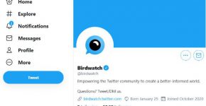 דף טוויטר של הכלי החדש Birdwatch. צילום מסך
