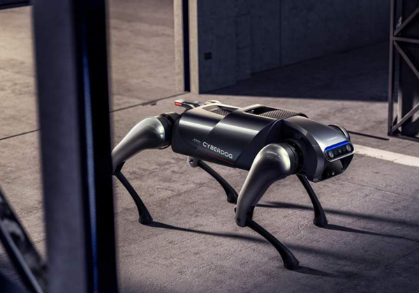 זהו עצם העניין. הרובוט-כלב החדש של שיאומי. מקור: יח"צ